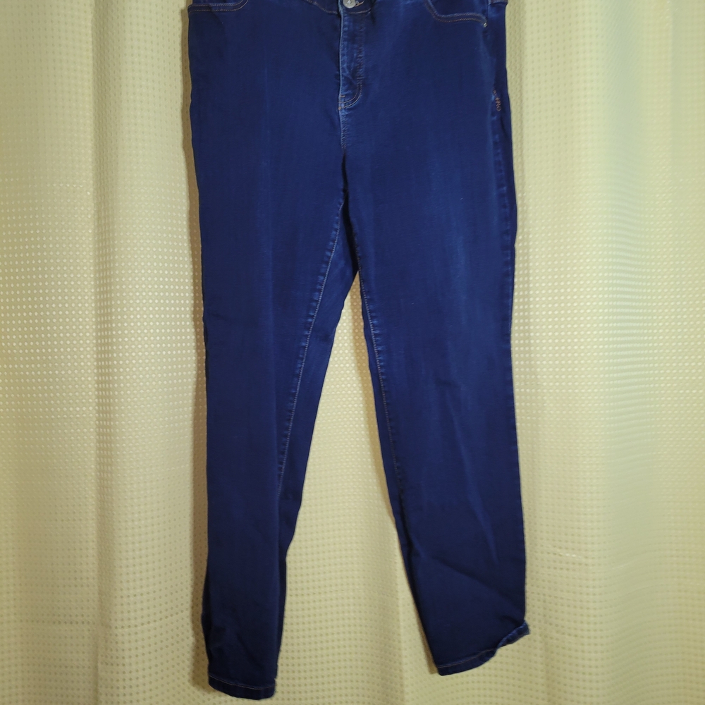 INC International Concepts Blue Women Jeans